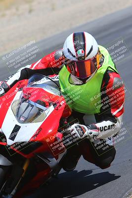 media/May-11-2024-SoCal Trackdays (Sat) [[cc414cfff5]]/8-Turn 6 Inside (11am)/